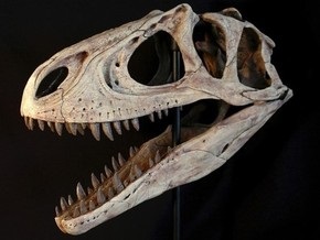 Палеонтологи: Треть описанных видов динозавров являются несуществующими