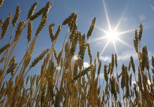 Украина в текущем сезоне увеличила экспорт зерна на 70%