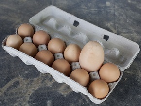 В Казахстане курица снесла гигантское яйцо