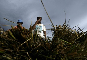 На Мадагаскар обрушился тропический шторм: погибли 14 человек