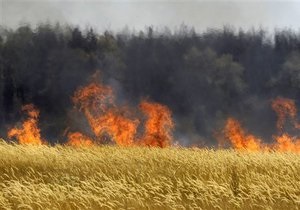 В России горят леса. Ситуация на данный момент
