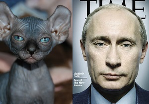 Foreign Policy сделало подборку лысых котов, похожих на Путина