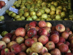 Польский депутат объяснил свое нетрезвое состояние употреблением яблок