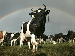 В России на остановках устанавливают турникеты для коров