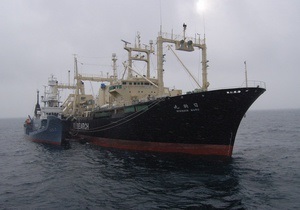 Экологи из Sea Shepherd столкнулись с японскими китобоями