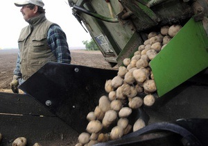 Эксперты отмечают резкий рост рентабельности картофелеводства в Украине