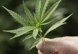 Полицейские уличили шотландца в выращивании марихуаны, вручая ему награду