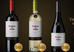 Винтаж 2011 года чилийских вин Casillero del Diablo получил мировое признание