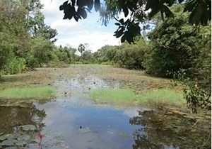 В Камбодже нашли сеть каналов крупнейшего кхмерского храма