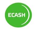 Система ECASH способ для банка выйти из финансового кризиса?