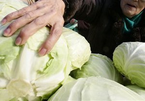 Россия разрешила ввоз овощей из шести стран ЕС