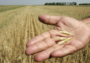 Запасы зерна в Украине за год снизились на 21%