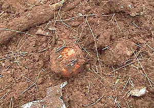 На месте падения польского самолета под Смоленском нашли черный ящик