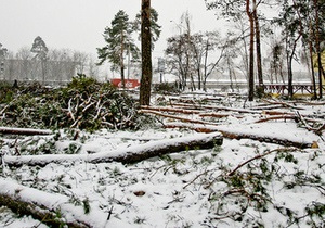 Главный эколог Киева назвал организаторов вырубки деревьев в Дарнице