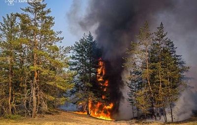 На Харківщині російські обстріли спричинили 18 лісових пожеж