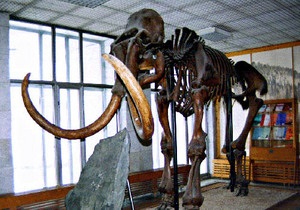 В Сербии нашли кладбище мамонтов