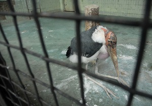 СМИ: Животных в Киевском зоопарке кормят испорченными продуктами