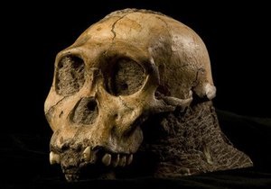 В Южной Африке нашли останки человекоподобных существ