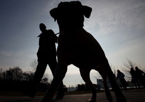 Госпогранслужба наградит полсотни служебных собак медалями