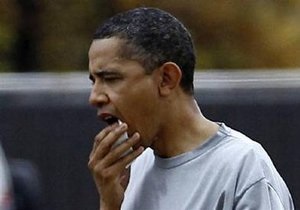 Стало известно, кто разбил Обаме губу