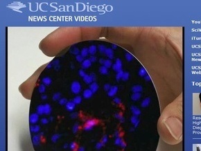 Ученые будут лечить раковые опухоли с помощью наночастиц