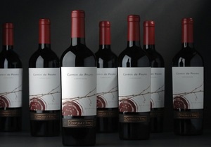 Новости винного мира: Carmin de Peumo чилийской винодельни Конча и Торо регулярно занимает топ-места в рейтингах известного американского журнала Wine & Spirits