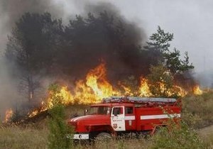 Число жертв лесных пожаров в России возросло до 40 человек