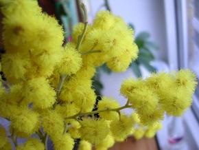 Украинские продавцы цветов 8 марта понесли убытки