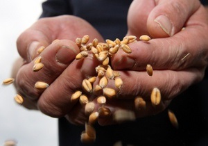 Таможня возбудила против 5 канала два уголовных дела по факту экспорта пшеницы