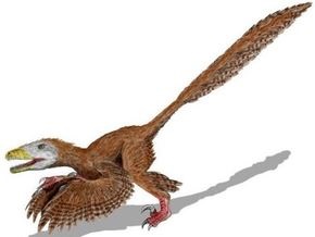 В Китае обнаружили останки динозавра с четырьмя крыльями
