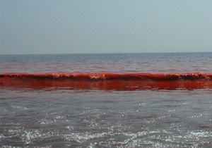 Море возле Бердянска стало кроваво-красным