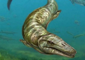 Палеонтологи обнаружили древнего ящера, похожего на речного дельфина