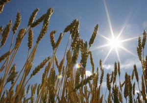 Ъ: Украина может возобновить поставки зерна в Египет