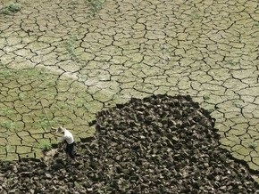 Исследование: угрозу мирового голода усиливает деградация почв