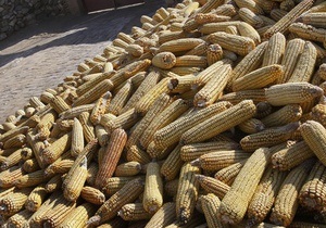 В прошлом маркетинговом году Украина экспортировала более 22 млн тонн зерна