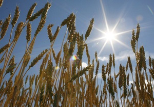 Запасы зерна в Украине выросли по сравнению с прошлым годом на 70%