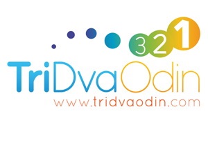 Cтартовал первый скандинавский аукцион для украинцев