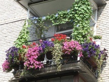В Киеве определен самый красивый балкон