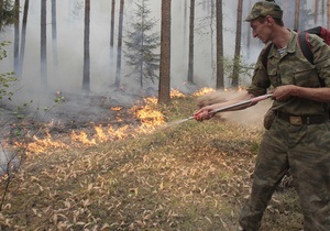 В Херсонской области работники МЧС продолжают патрулировать лес