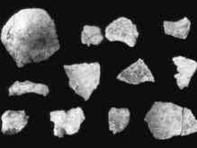 Найдены останки человеческого черепа возрастом 100 тыс лет