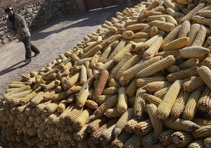 Украина отрицает возможность попадания в Германию содержащей диоксин кукурузы