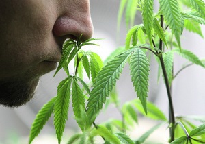 Великобритания - наркотики - жителей призвали искать марихуану по запаху