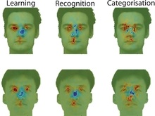 Ученые: Азиаты и европейцы по-разному смотрят на лица