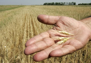 Корреспондент: Неподнятая целина