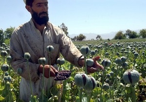 Душанбе предлагает выкупать опий у афганских фермеров