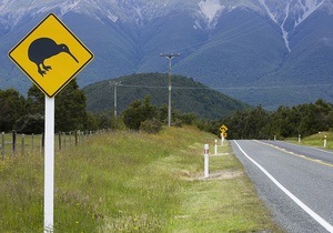 В Новой Зеландии проститутки сломали 40 дорожных знаков, используя их в качестве шестов