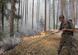 Лесной пожар произошел в окрестностях Севастополя