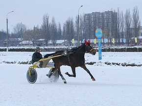 Сегодня в Киеве состоялись конные скачки на Кубок мэра