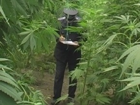 В России наркоторговка из Донецка приняла арест за розыгрыш ко дню рождения