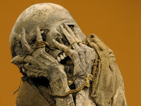 В России нашли мумию пенсионера, пролежавшую в квартире более 13 лет
